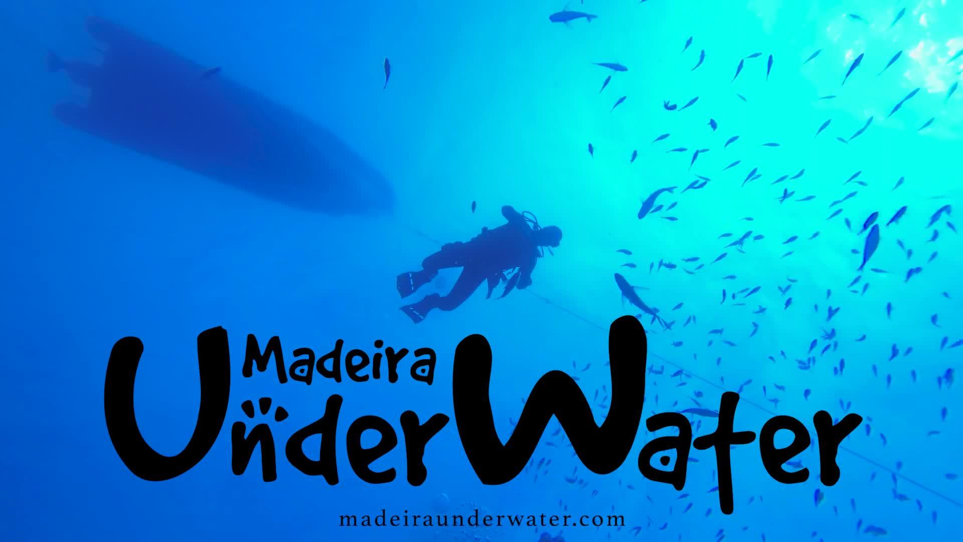 DAY 13 | AFTERNOON - III MADEIRA UNDERWATER OPEN PHOTOGRAFY & VIDEO 2024