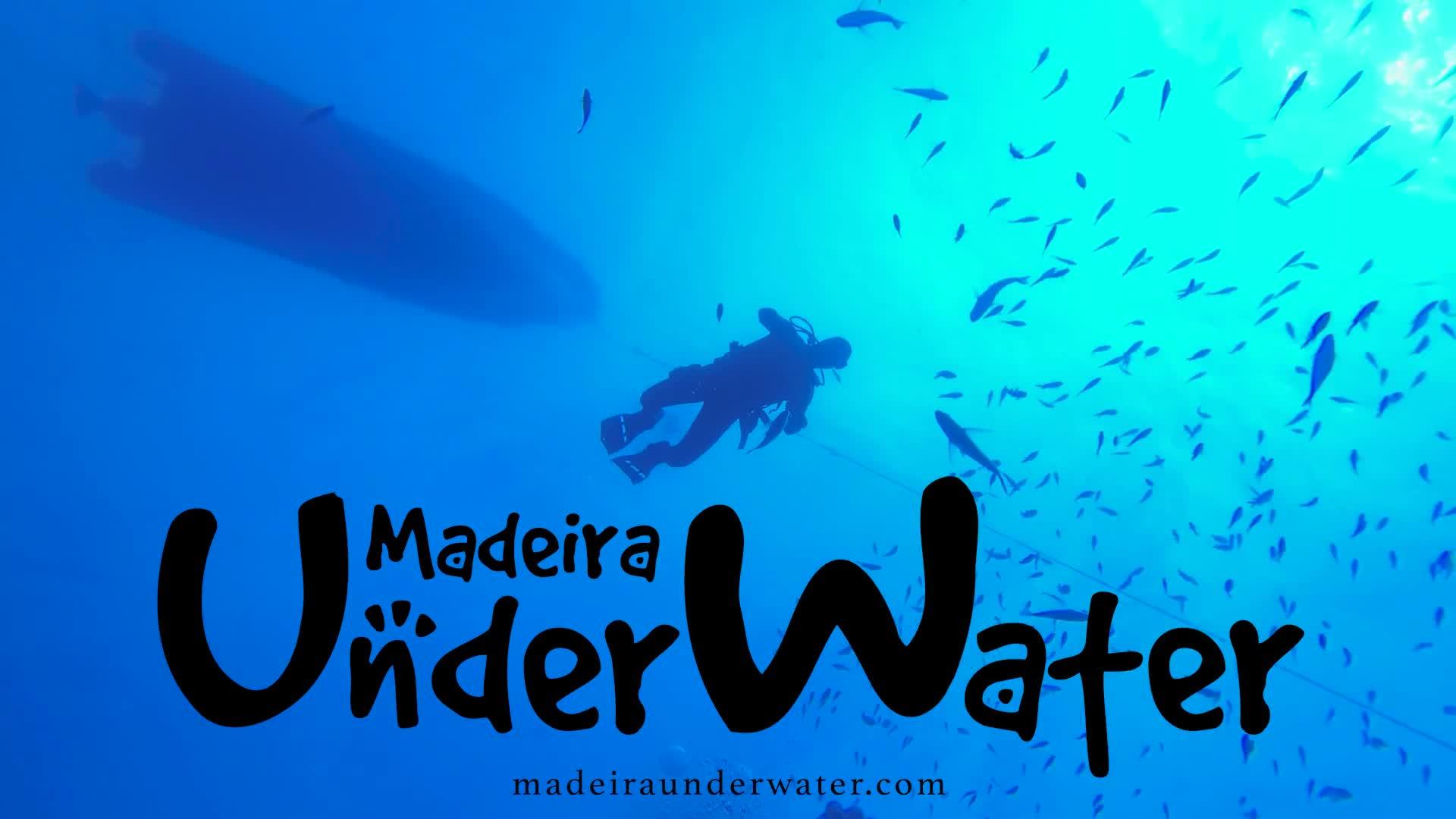 DAY 14 | AFTERNOON - III MADEIRA UNDERWATER OPEN PHOTOGRAFY & VIDEO 2024