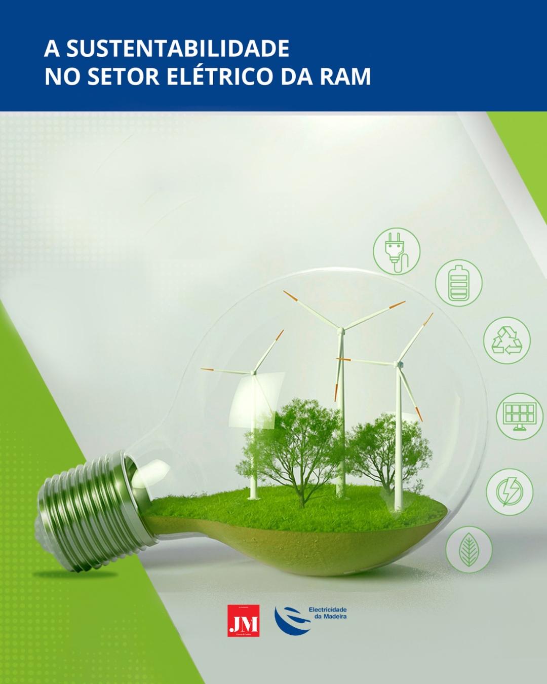 A SUSTENTABILIDADE NO SETOR ELÉTRICO DA RAM