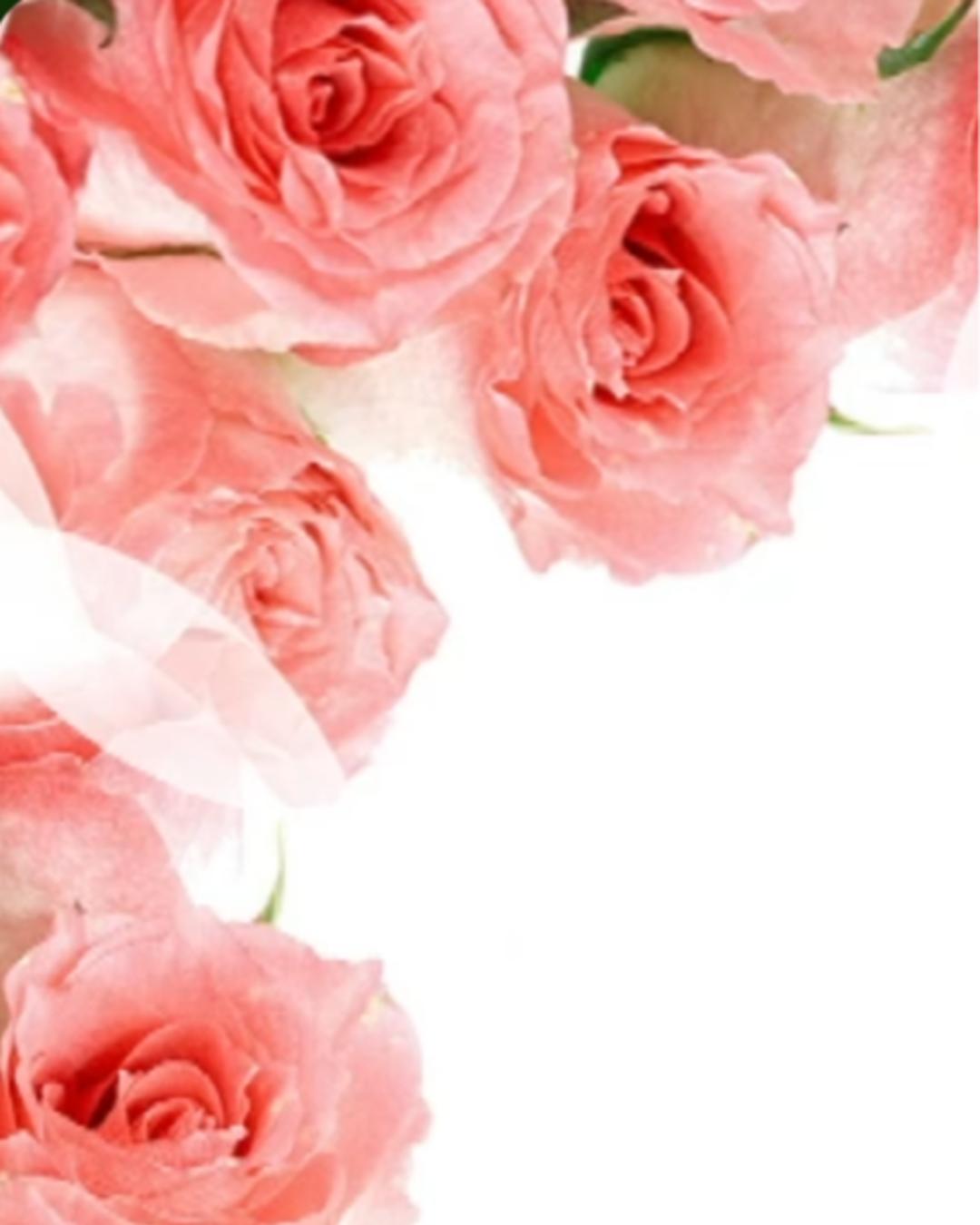 Homenagem às vitimas do Acidente Rodoviário no Caniço