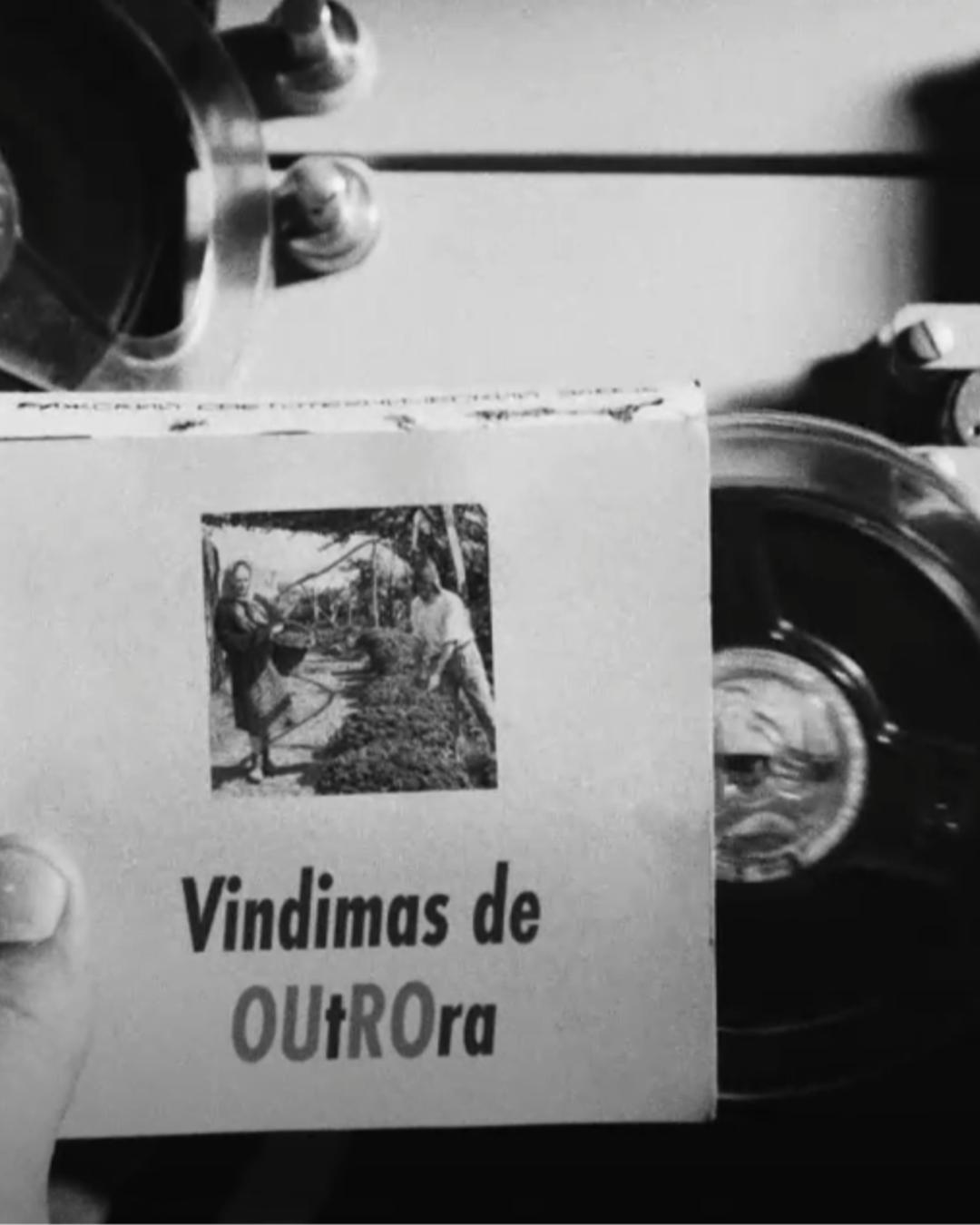 Estreia do documentário - Festa da Vindima do Estreito - Edição especial