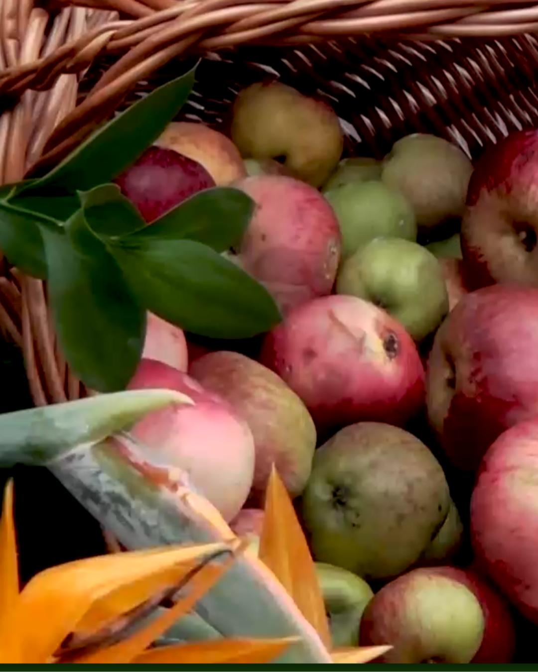 XXXIV Edição da Festa da Maçã - Camacha 2019
