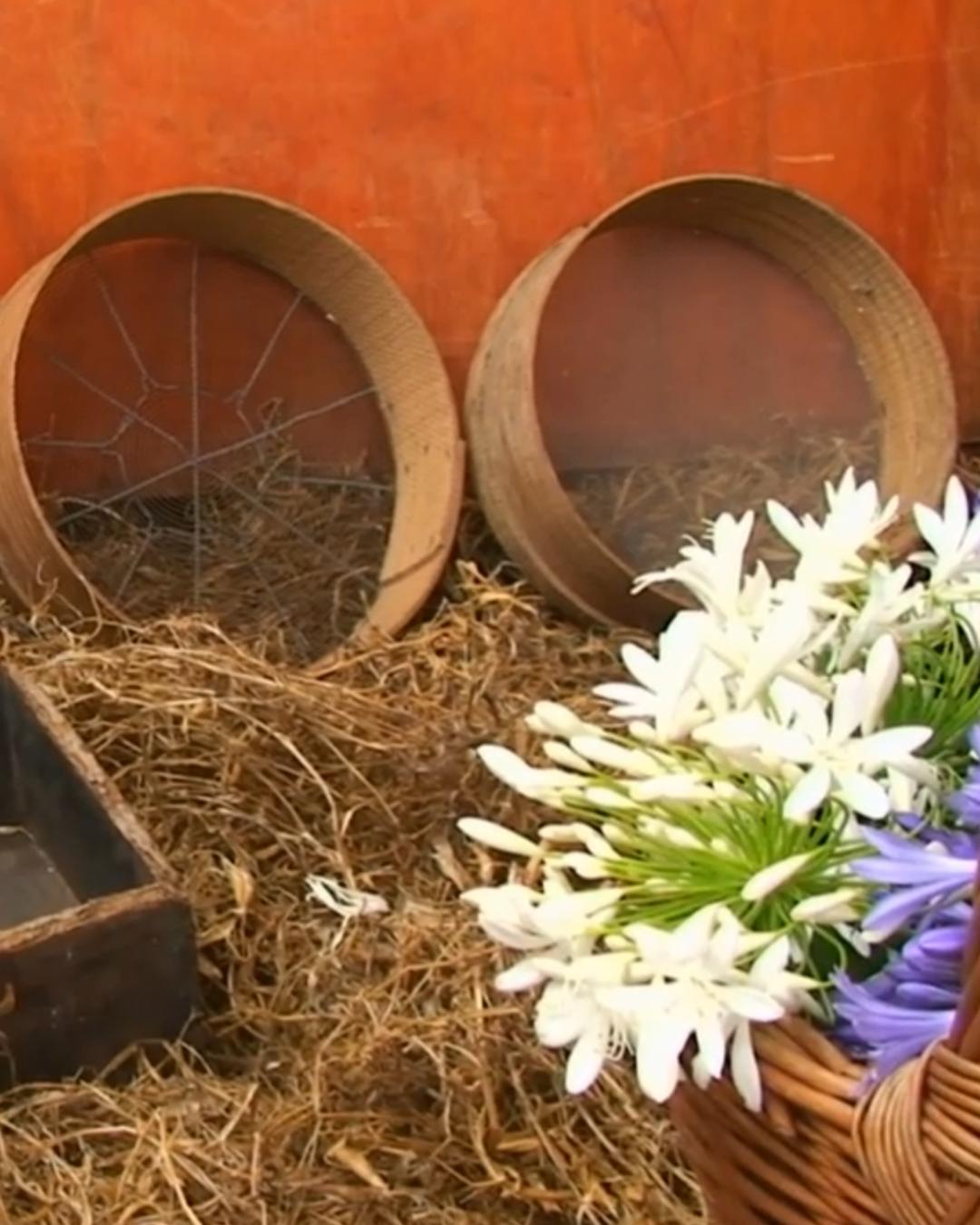 I Mostra do Trigo e do Chícharo