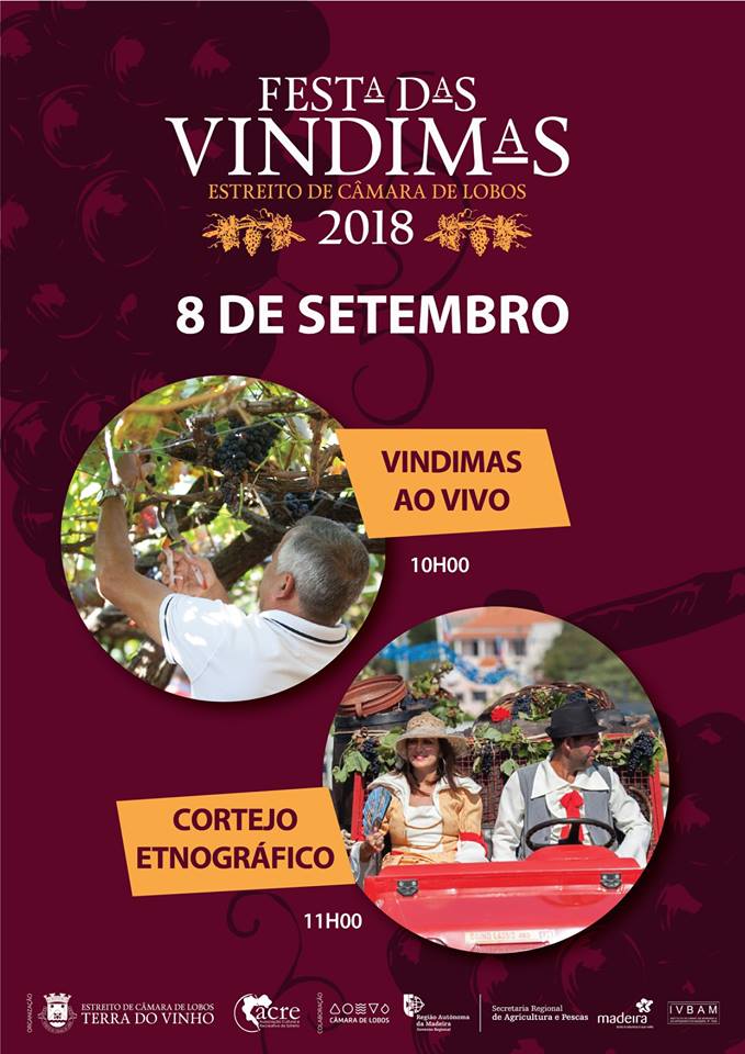 Festa das Vindimas no Estreito 2018