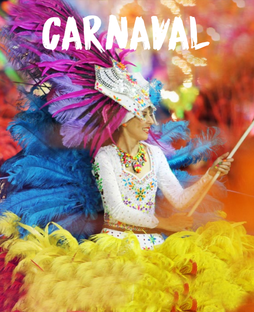 Cortejo Alegórico de Carnaval 2019