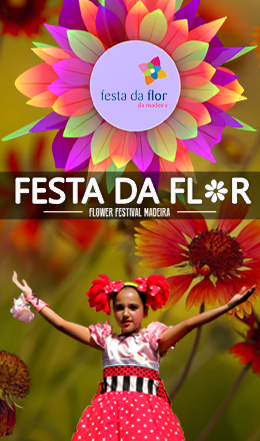 Preparativos Festa da Flor - Isabel Borges, Fura Samba e Sorrisos de Fantasia