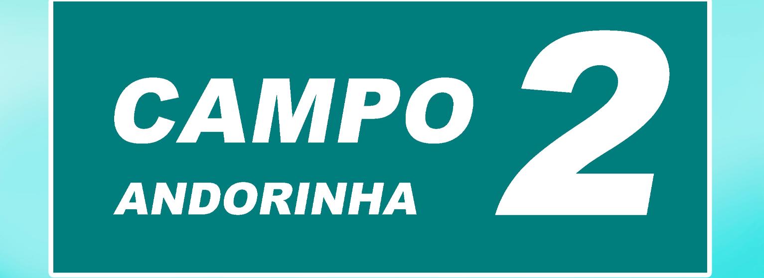 CAMPO 2 (ANDORINHA) - LICEU CUP 2024