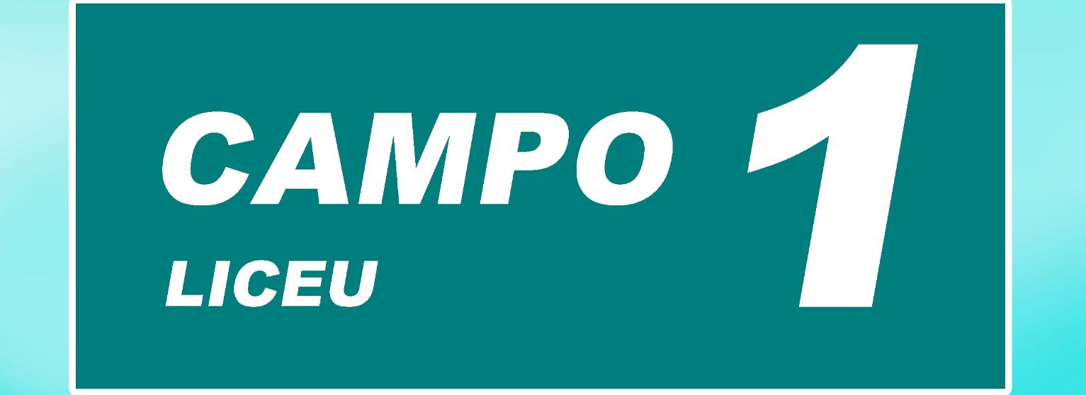 CAMPO 1 (LICEU) - LICEU CUP 2024