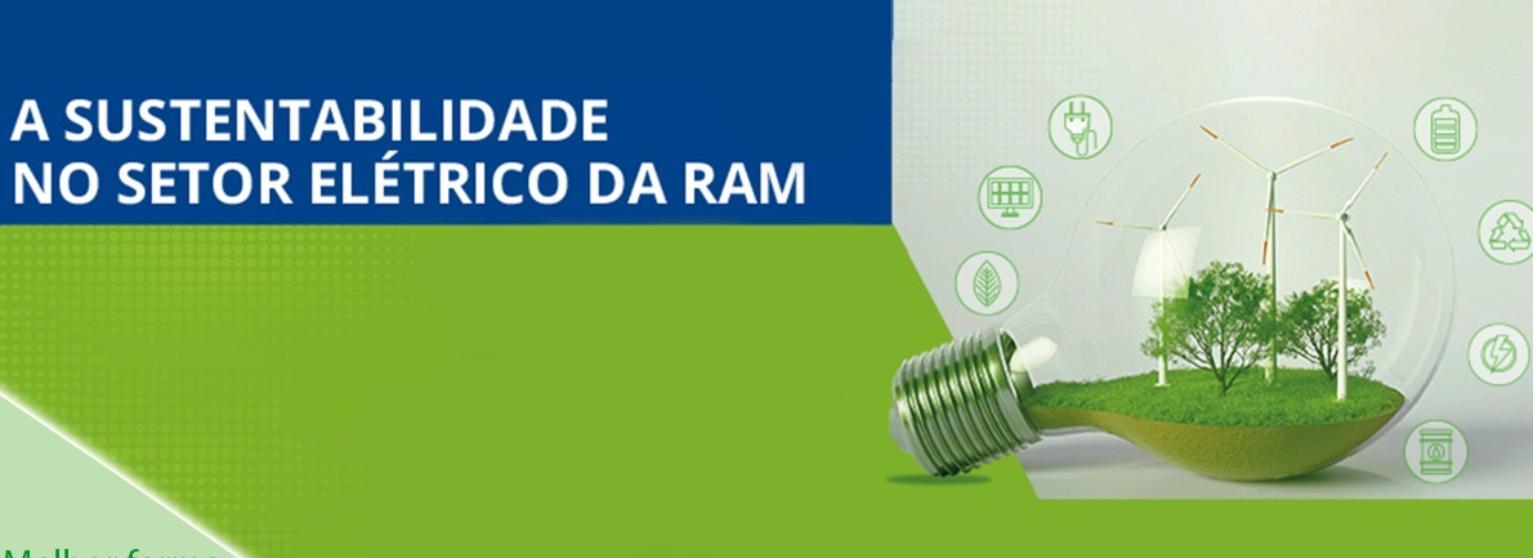 A SUSTENTABILIDADE NO SETOR ELÉTRICO DA RAM