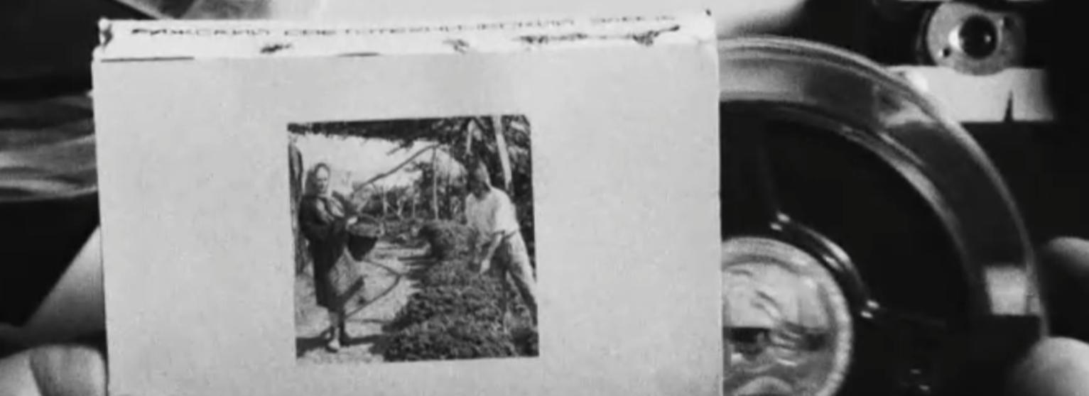 Estreia do documentário - Festa da Vindima do Estreito - Edição especial