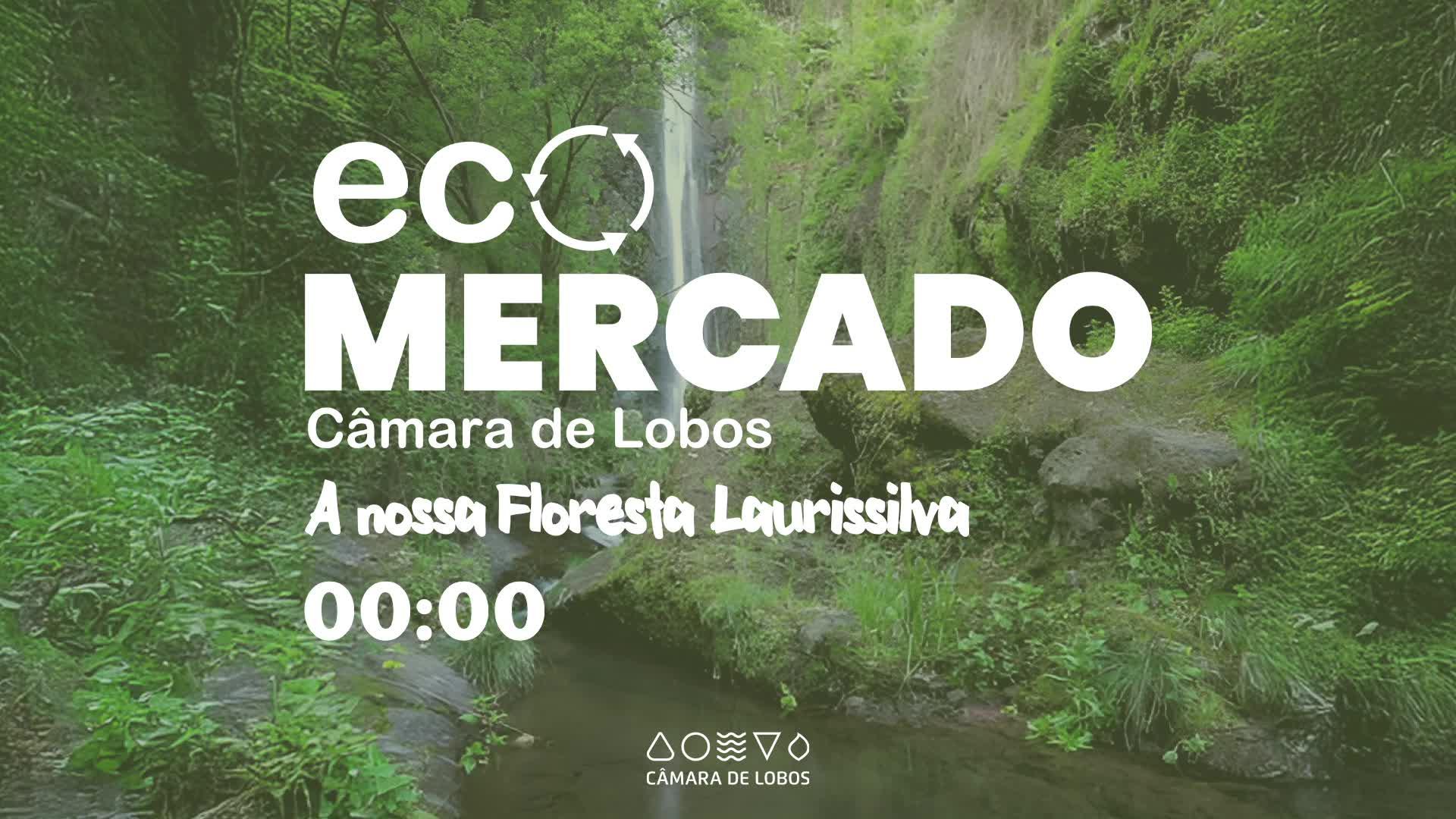 5 ABRIL ECO MERCADO CÂMARA DE LOBOS