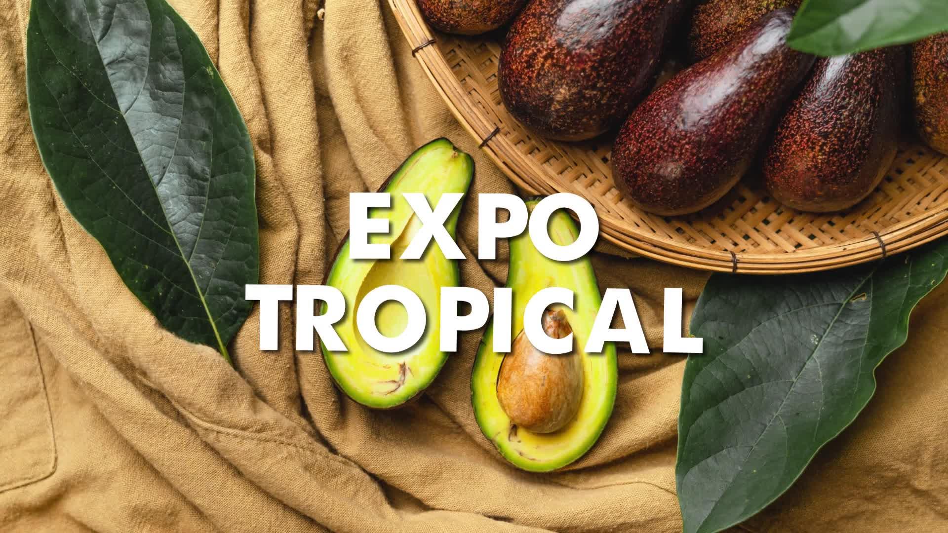 PROMO - EXPOTROPICAL 